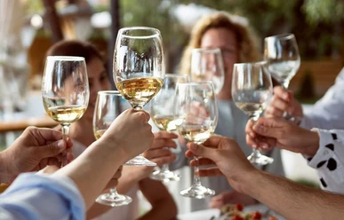 Das Genuss-Seminar Gruppe hebt Gläser mit Weißwein zum gemeinsamen Anstoßen in entspannter Runde.