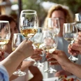 Das Genuss-Seminar Gruppe hebt Gläser mit Weißwein zum gemeinsamen Anstoßen in entspannter Runde.