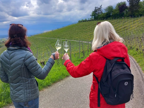Frühling im Neusatzer Weinberg