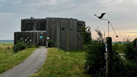 Kranorama_TV FDZ_Klutta