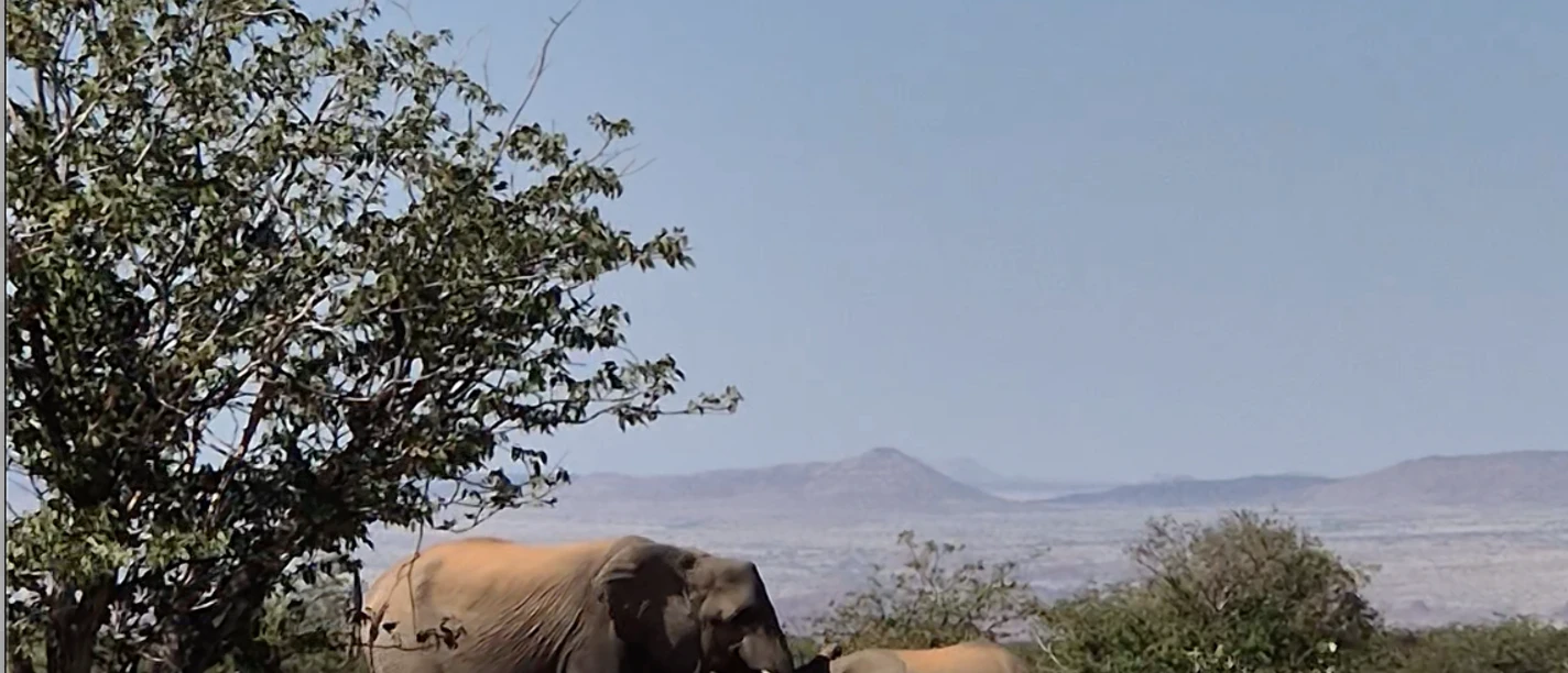 Fernwehreisen Namibia, ©Anke Thätner