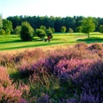 Golfclub Gifhorn.JPG