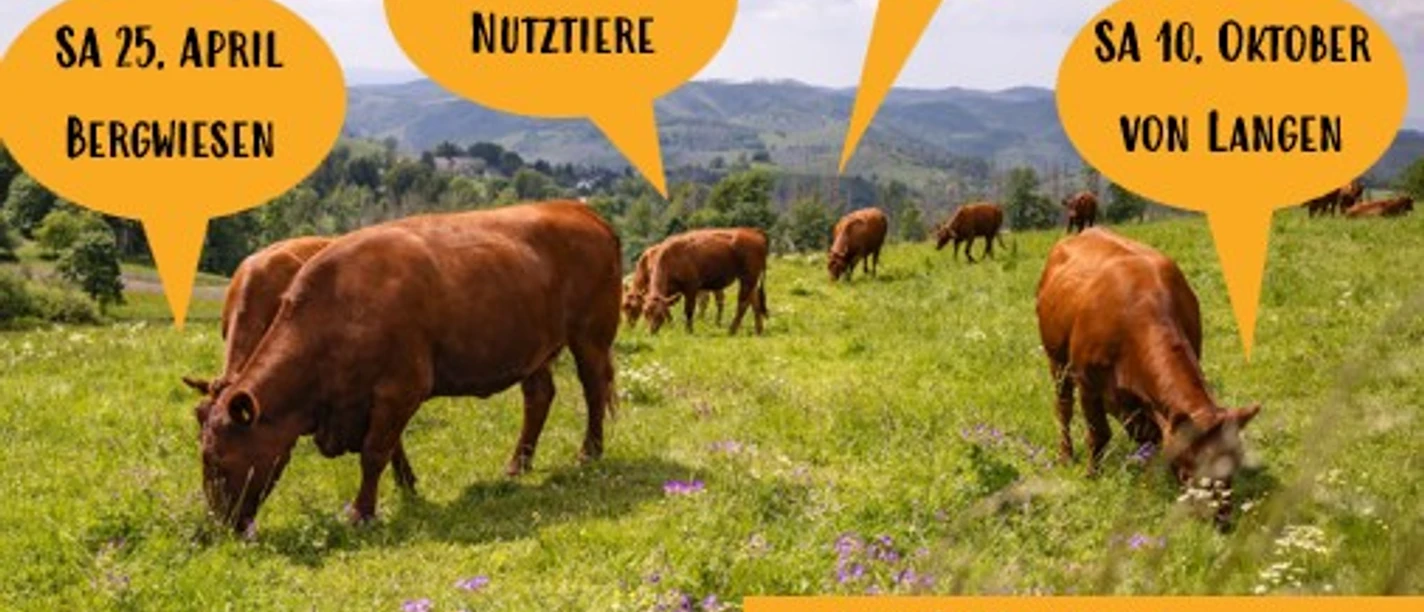 Screenshot 2026-03-20 143658.jpg