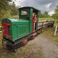 Saisonstart im LVR-Freilichtmuseum Ein Mann fährt eine grüne Feldbahn mit Baumstämmen durch die Landschaft des LVR-Freilichtmuseums Lindlar.