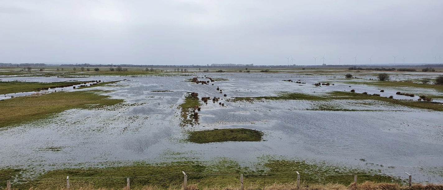 Landschaft im vernässten Ochsenmoor