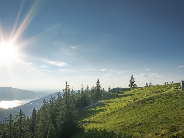 Baumgartenalm mit Blick auf den Tegernsee