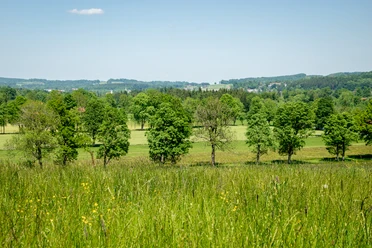Blick auf den Stadlberg