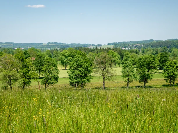 Blick auf den Stadlberg