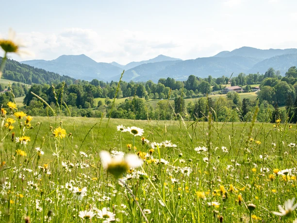 Blick in Richtung Schlierseer Berge