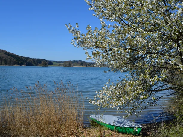 Am Seehamer See
