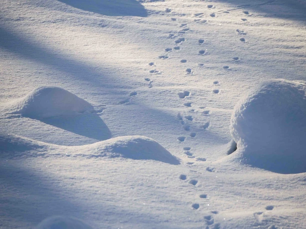Winterstimmung
