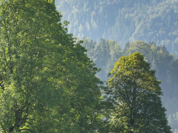 Sommer-Shooting 2020 Bodensee-Königssee-Radweg