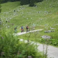Radfahren