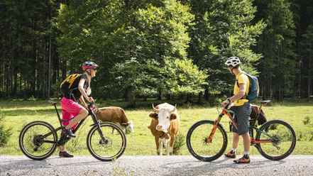 MTB Kloo-Ascher-Tal
