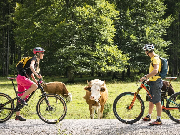 MTB Kloo-Ascher-Tal