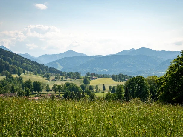 Blick Richtung Niemandsbichl