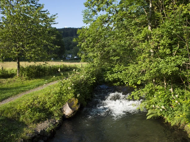 Latrop Bach bei Latrop