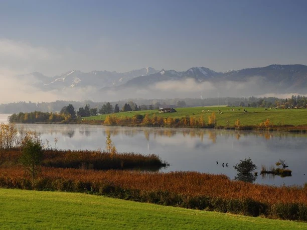 Wanderung - Riegsee-Rundweg - Morgenlicht am Riegsee