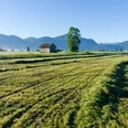 Wanderung - Weiler-Rundweg - Blick in die Berge