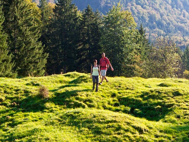 Wanderung - Boschet-Rundweg - Wandern in Ohlstadt