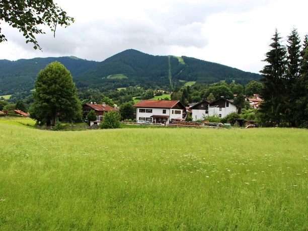 Wiesen in Bad Kohlgrub