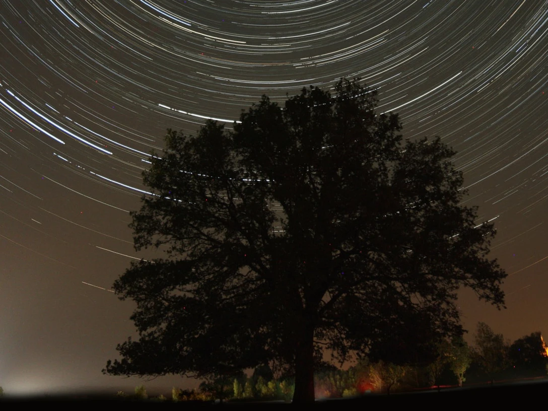 Strichspuraufnahme des nördlichen Sternenhimmels, die am 31. August 2019 beim West-Havelländer Astro-Treff entstand. | Foto: Holtkamp