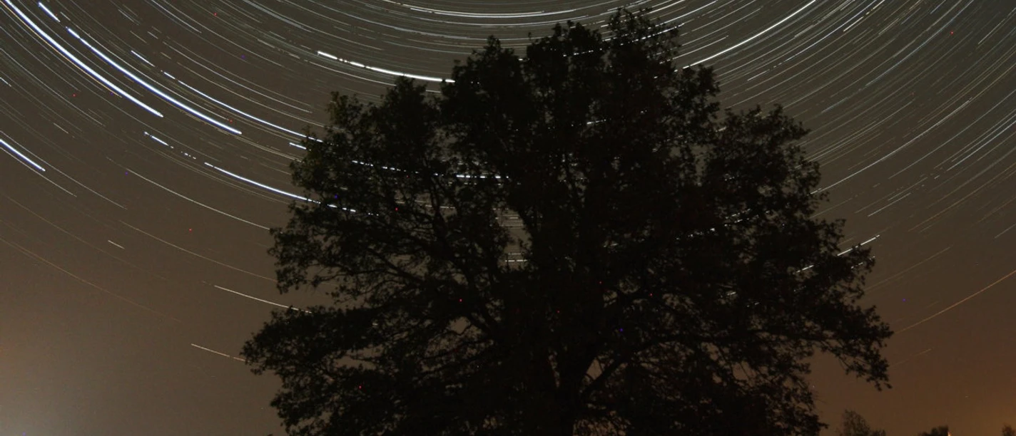 Strichspuraufnahme des nördlichen Sternenhimmels, die am 31. August 2019 beim West-Havelländer Astro-Treff entstand. | Foto: Holtkamp