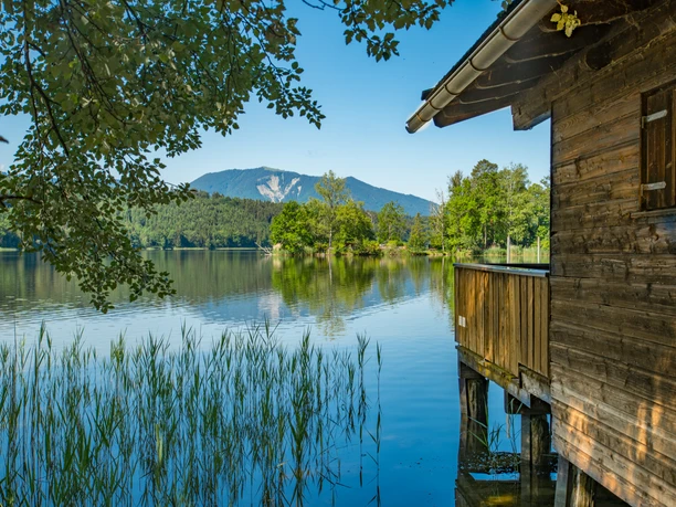 Am Ufer des Staffelsees