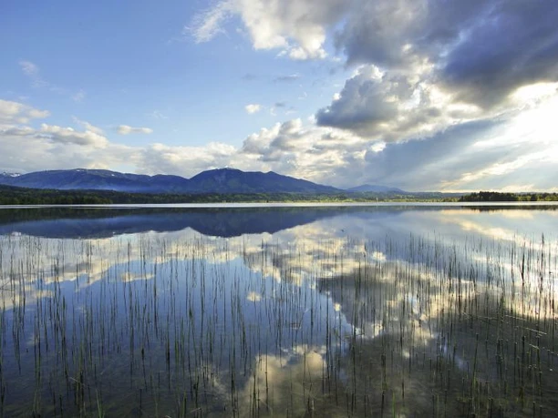 Wanderung - Drachenstich-Rundweg - Spiegelungen im Staffelsee