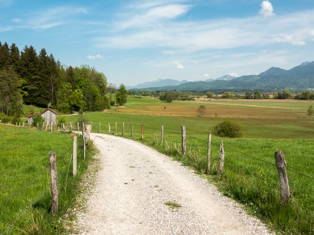 Wanderweg mit Blick auf das Murnauer Moos