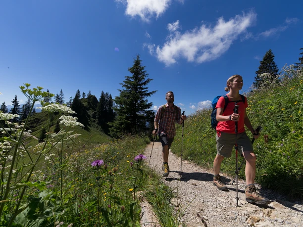 Bergtour - Ettaler Manndl