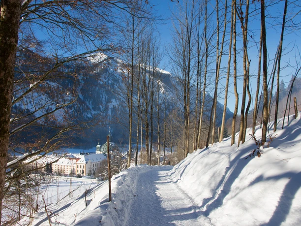 Winterwanderung - Enzianweg