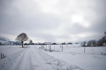 Winterwanderung Scherenauer Runde