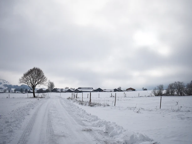 Winterwanderung Scherenauer Runde