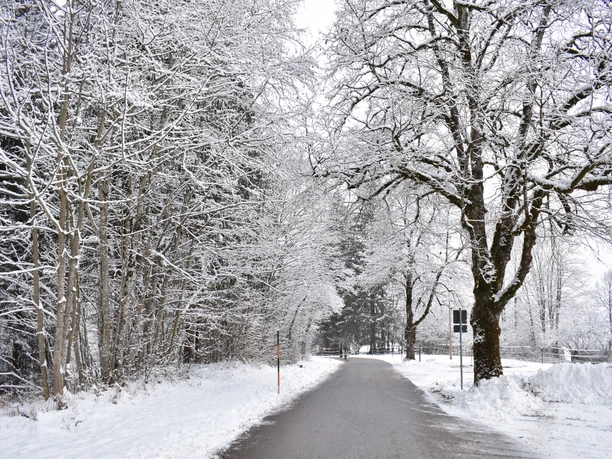 Winterwanderung Scherenauer Runde
