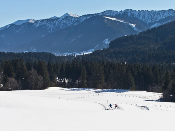 Langlaufloipe Saulgruber Runde Langlauf Ammergauer Alpen