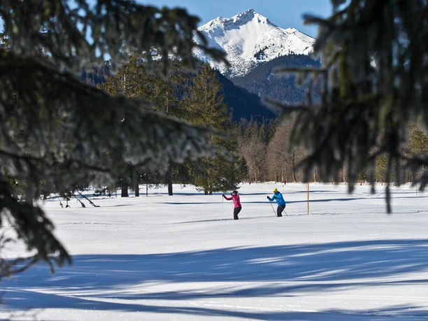 Verbindungsloipe Linderhof Graswang