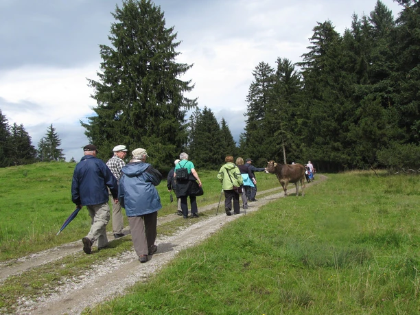 Wanderung - Haselbachweg