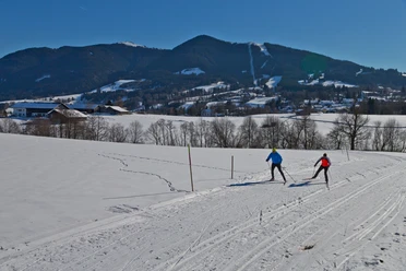 Langlaufloipe - Große Rochusrunde Langlauf Ammergauer Alpen