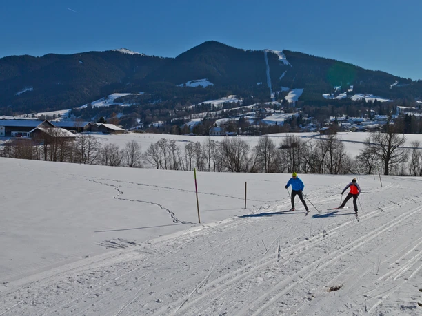 Langlaufloipe - Große Rochusrunde Langlauf Ammergauer Alpen