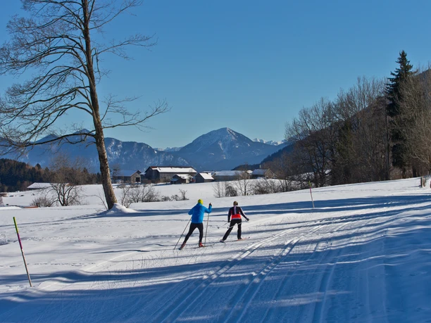 Langlaufloipe - Große Rochusrunde Langlauf Ammergauer Alpen