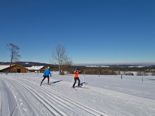 Langlaufloipe - Große Rochusrunde Langlauf Ammergauer Alpen