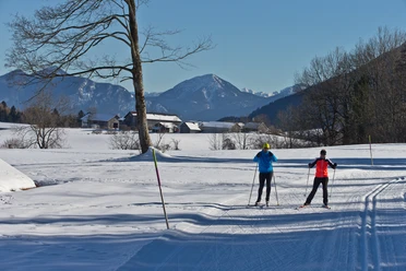 Langlaufloipe Kleine Rochus Runde Langlauf Ammergauer Alpen