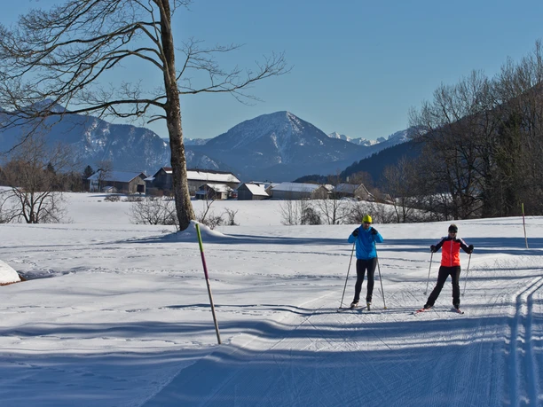 Langlaufloipe Kleine Rochus Runde Langlauf Ammergauer Alpen