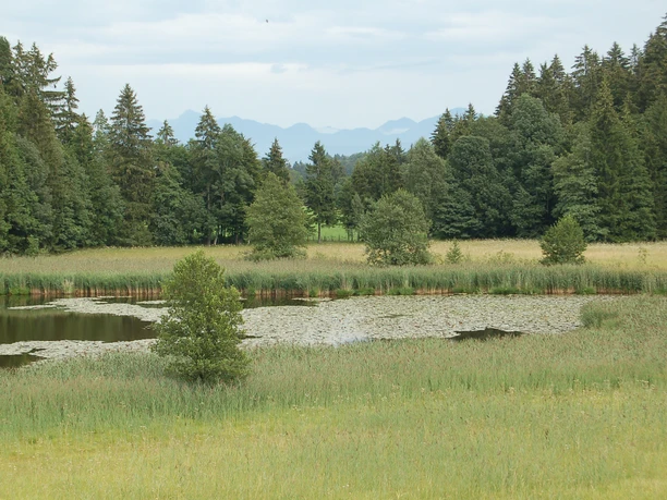 Der Rantscher Weiher