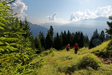 Aufstiegsroute Notkarspitze