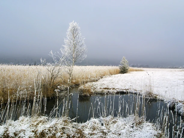 Winterwanderweg Pulvermoos