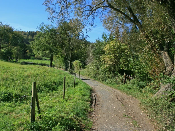 Rosenauwiesen-Buschhofweg