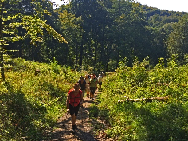 Aufstieg-Nonnenstromberg