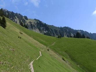 Wanderweg vom Wirzweli auf das Stanserhorn.